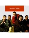 Фотография Анимал Джаз Animal Djaz