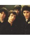 Фотография Buzzcocks