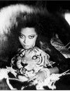 Фотография Дайана Росс Diana Ross