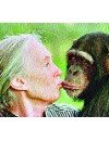 Фотография Джейн Гудол Jane Goodall