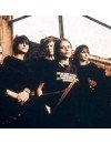Фотография Elastica