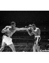 Фотография Эрни Террелл Arny Terrell