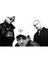 Фотография Freestylers