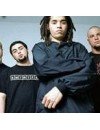 Фотография Nonpoint