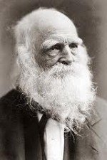 Фотография Уильям Брайант William Cullen Bryant