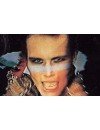Фотография, биография Adam and the Ants