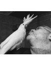 Фотография, биография Александр Осовцов Aleksandr Osovtsov