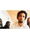 Фотография, биография Ben Harper