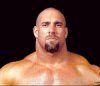 Фотография, биография Билл Голдберг Bill Goldberg