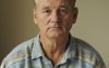 Фотография, биография Билл Мюррей Bill Murray