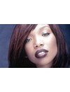 Фотография, биография Brandy
