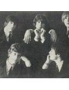 Фотография, биография Byrds