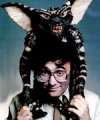 Фотография, биография Джо Данте Joe Dante