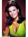 Фотография, биография Елена Драпенко Elena Drapenko