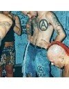 Фотография, биография Exploited