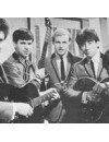 Фотография, биография Hollies