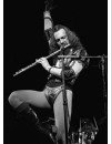 Фотография, биография Иан Андерсон Ian Anderson