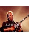 Фотография, биография Ли Ритенур Lee Ritenour