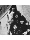Фотография, биография Loudness