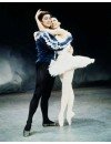 Фотография, биография Марго Фонтейн Margo Margaret Fonteyn