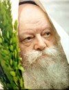 Фотография, биография Менахем-Мендель Шнеерсон Menahem-Mendel Sheerson