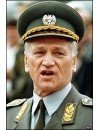 Фотография, биография Момчило Перишич Momcilo Perisic