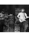 Фотография, биография New Riders Of The Purple Sage
