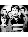 Фотография, биография Pulp
