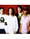 Фотография, биография Рейдж Эгэйнст зе Мэчин Rage Against The Machine