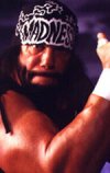 Фотография, биография Рэнди Поффо Randy Savage