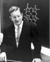 Фотография, биография Роберт Вудворд Robert Berns Vudvord