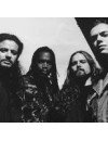 Фотография, биография Sepultura