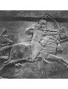 Фотография, биография Синаххериб Синаххериб Sinahherib Sinahherib