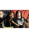 Фотография, биография Skindred