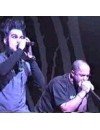 Фотография, биография Staind
