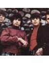 Фотография, биография Standells