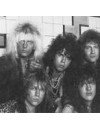 Фотография, биография Steeler