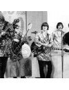 Фотография, биография Strawberry Clock Strawberry Alarm Clock
