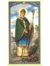 Фотография, биография Святой Патрик Patrik