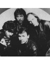 Фотография, биография Troggs