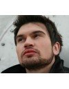 Фотография, биография Василий Бондарчук Vasily Bondarchuk