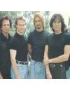 Фотография, биография Whitesnake