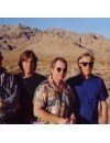 Фотография, биография Yardbirds